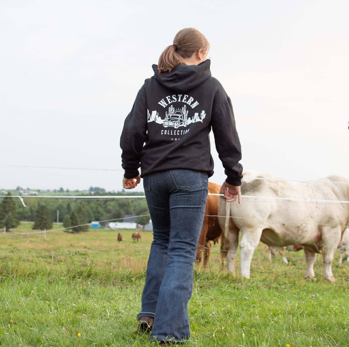 Dusty Road Pickup - Hoodie
