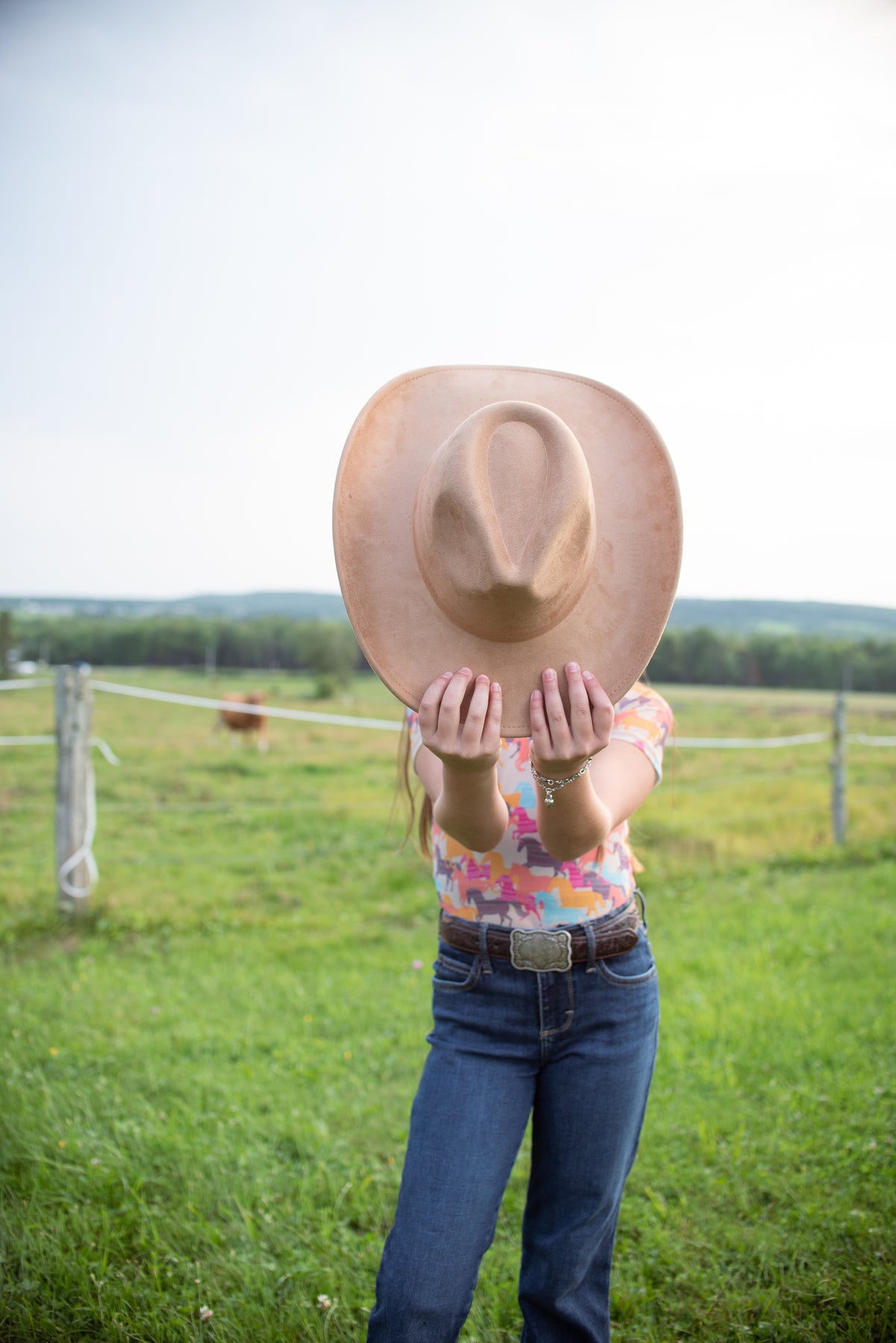 Plain Western Cowboy Hats